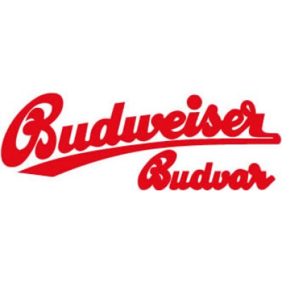 Barril de cerveza Budweiser Budvar 5 litros